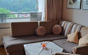 Harzer Ferienwohnung mit Pool und Sauna